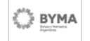 Logo MAV